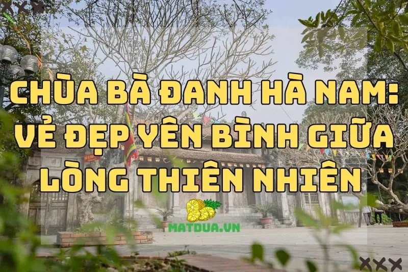 Chùa Bà Đanh Hà Nam: Vẻ Đẹp Yên Bình Giữa Lòng Thiên Nhiên 2024