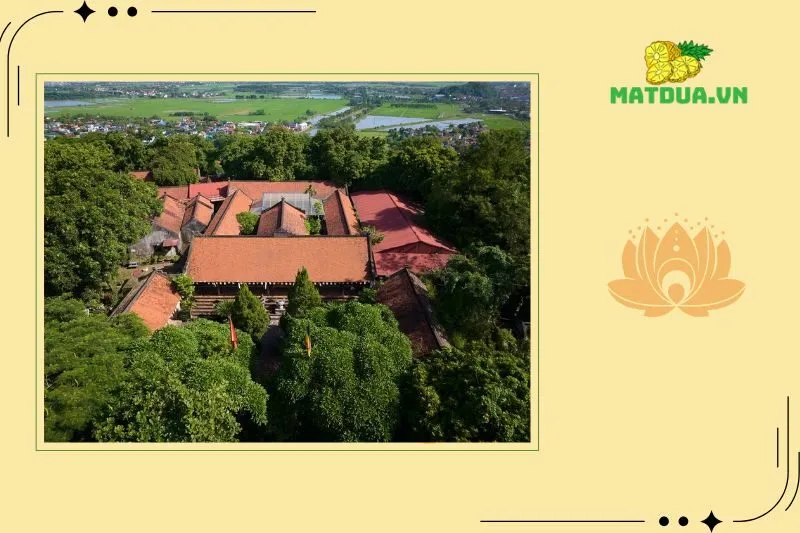 Khám phá cảnh quan và trải nghiệm du lịch tại Chùa Long Đọi Sơn