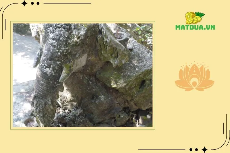 Kiến Trúc và Cảnh Quan Độc Đáo Của Chùa Trinh Tiết