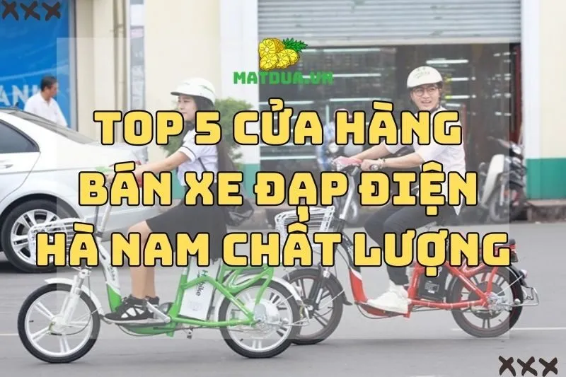 Top 5 Cửa Hàng Bán Xe Đạp Điện Hà Nam Chất Lượng 2024