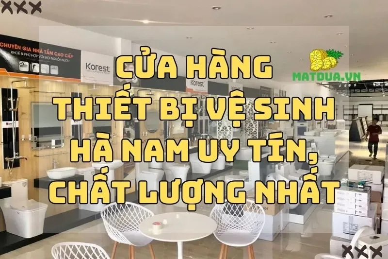 Top 5 Cửa Hàng Thiết Bị Vệ Sinh Hà Nam Uy Tín, Chất Lượng Nhất 2024
