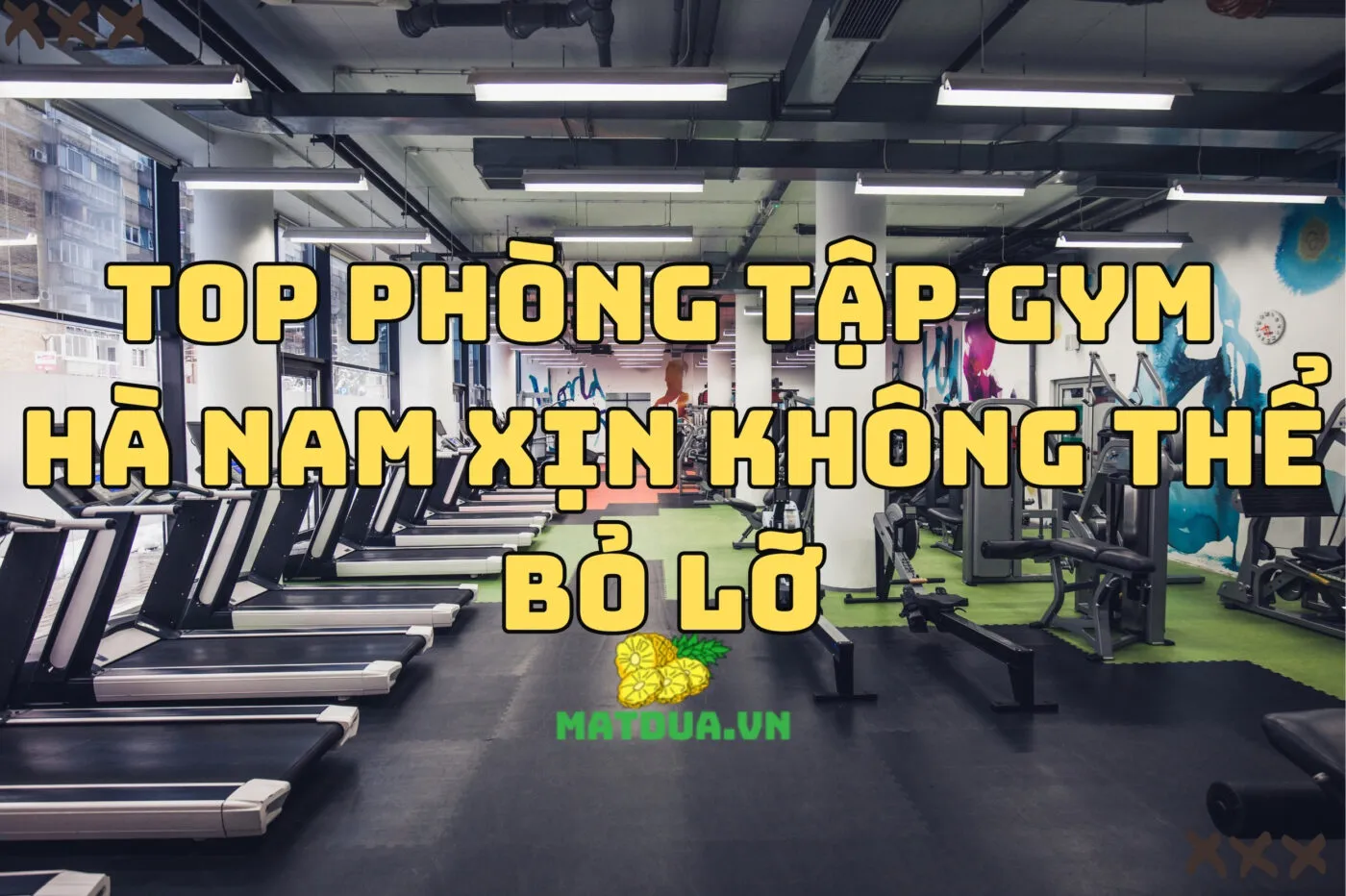 Top phòng tập gym Hà Nam xịn không thể bỏ lỡ 2024!