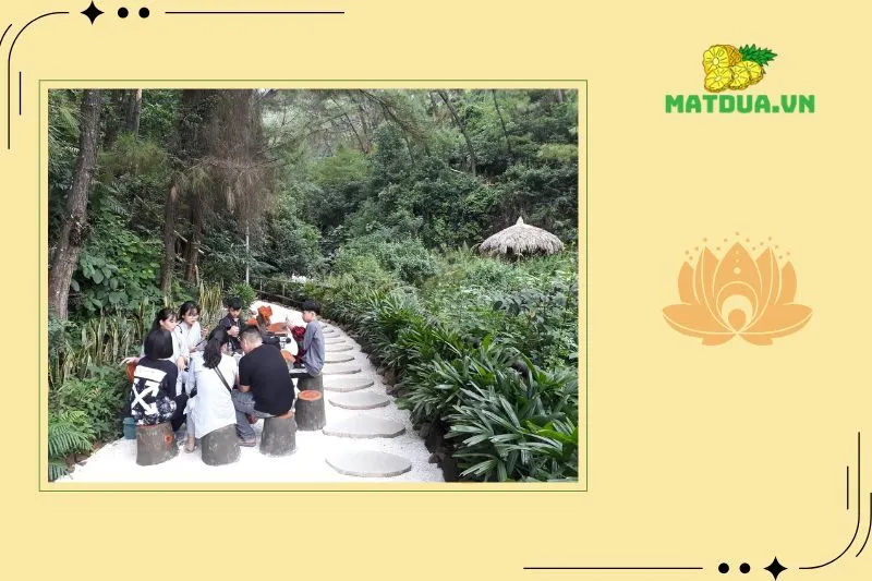 Trải nghiệm văn hóa và hoạt động đặc sắc tại chùa