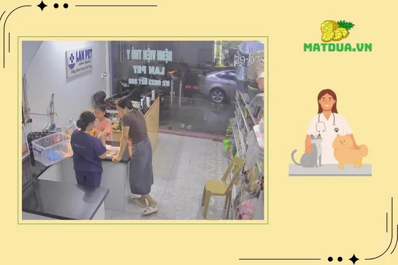 Bệnh viện thú y Phủ Lý