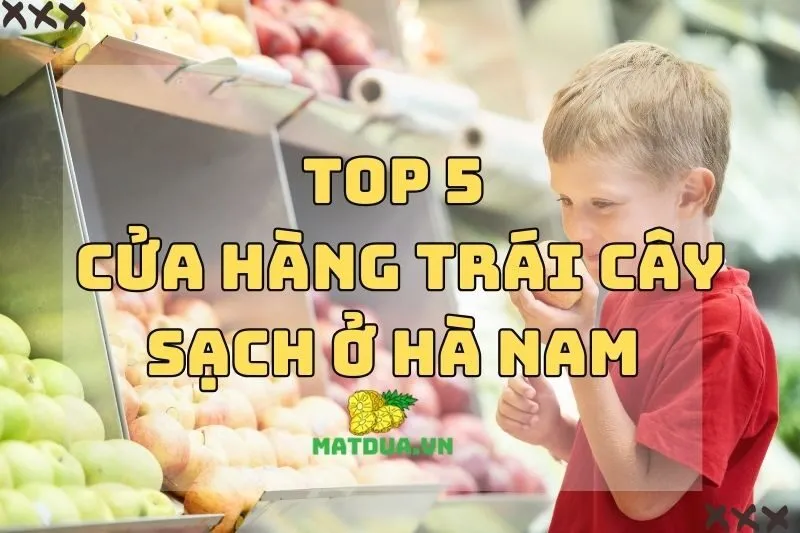 Top Các Cửa Hàng Trái Cây Sạch Ở Hà Nam Bạn Cần Biết 2024