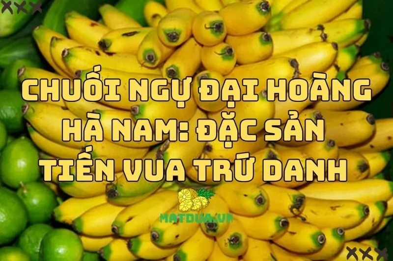 Chuối Ngự Đại Hoàng Hà Nam: Đặc Sản Tiến Vua Trứ Danh 2024
