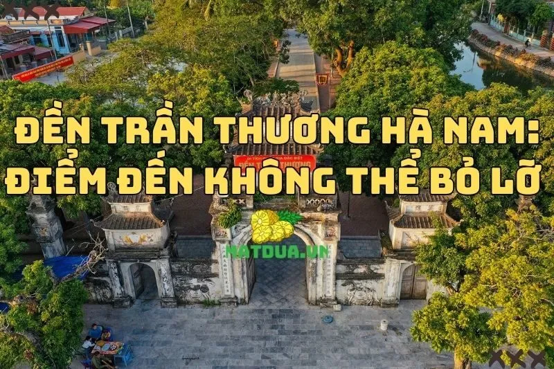Đền Trần Thương Hà Nam: Điểm đến không thể bỏ lỡ 2024