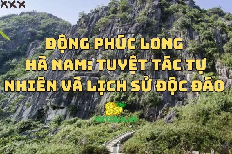 Động Phúc Long Hà Nam: Tuyệt Tác Tự Nhiên Và Lịch Sử Độc Đáo 2024