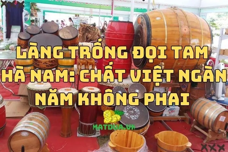 Làng trống Đọi Tam Hà Nam: Chất Việt ngàn năm không phai 2024