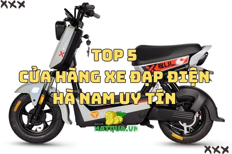 Top 5 Cửa Hàng Xe Đạp Điện Hà Nam Uy Tín Không Thể Bỏ Lỡ 2025